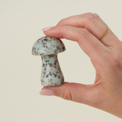 Large Mushrooms Assortment