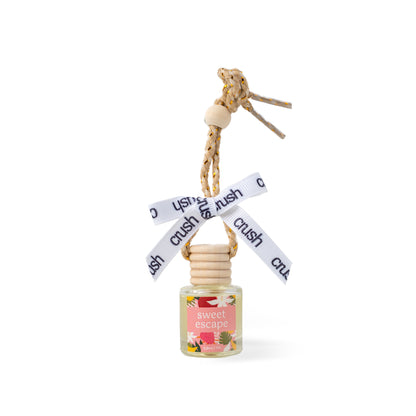 Hanging In There Scent Diffuser
