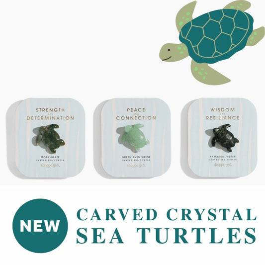 Carved Sea Turtle Assortment