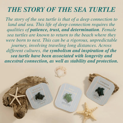 Carved Sea Turtle Assortment
