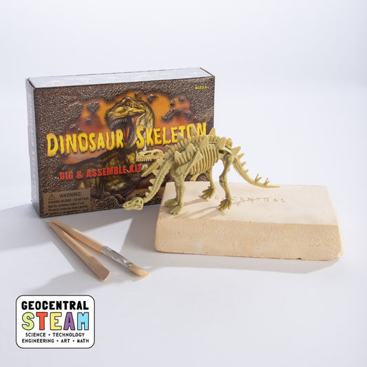 Dinosaur Skeleton Dig Kit