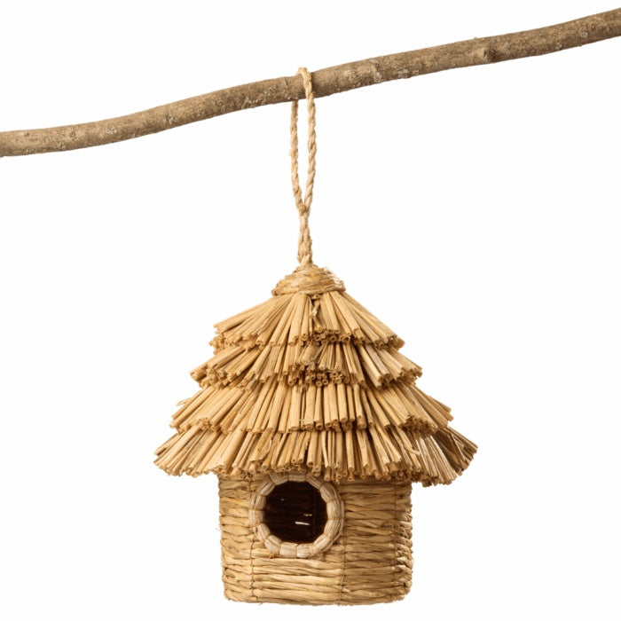 Bird Nester | Rice Straw