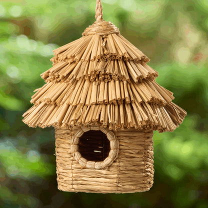 Bird Nester | Rice Straw