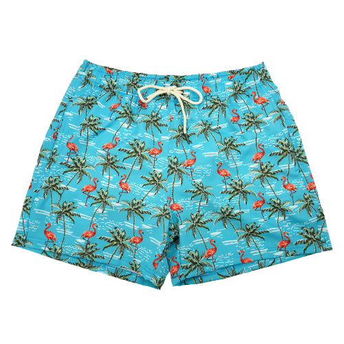 Mens Swim Trunks