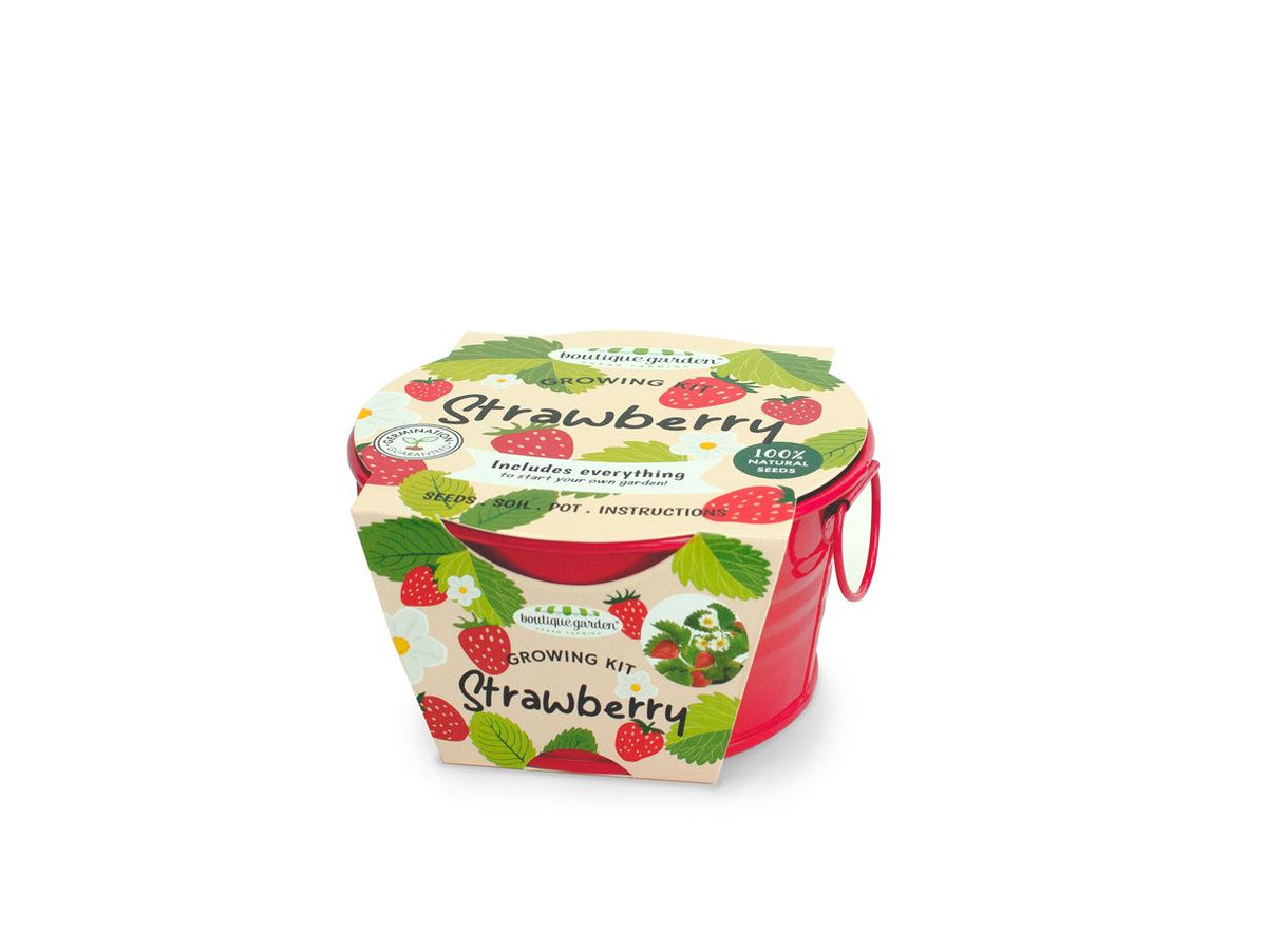 Strawberry Mini Basin