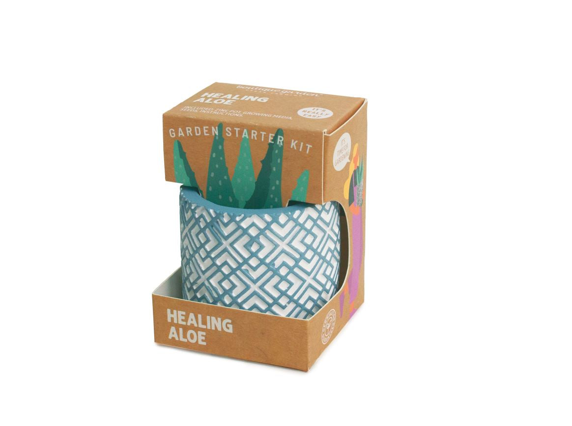 Succulent Starter Cement Pot