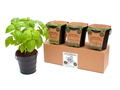 Kitchen Herb Planters