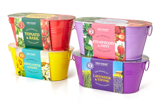 Vibrant Coloured Pots