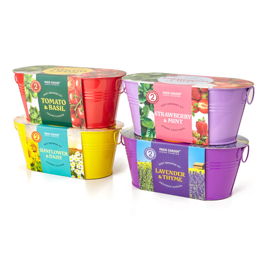 Vibrant Coloured Pots