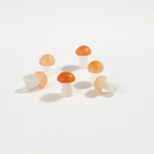 Selenite Mushroom