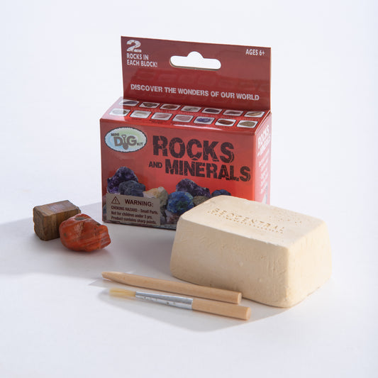 Rocks & Mineral Dig Kit