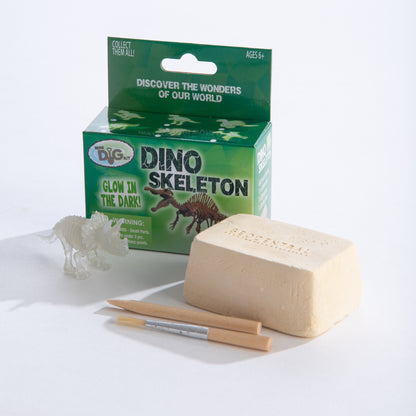 Glowing Dinosaur Dig Kit
