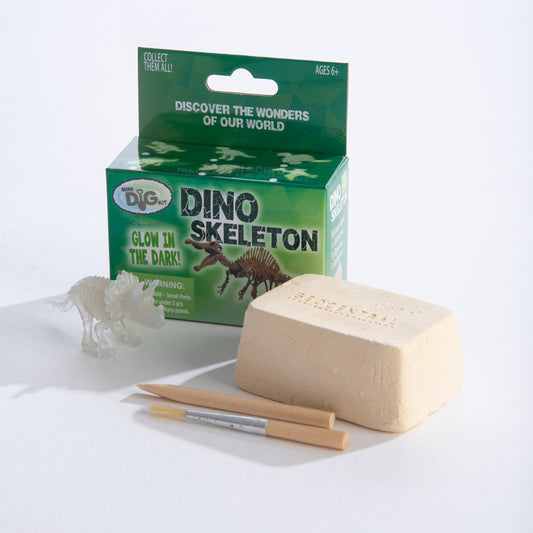 Glowing Dinosaur Dig Kit