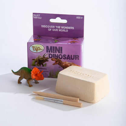 Mini Dinosaurs Dig Kit