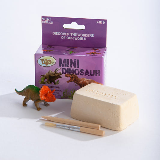 Mini Dinosaurs Dig Kit