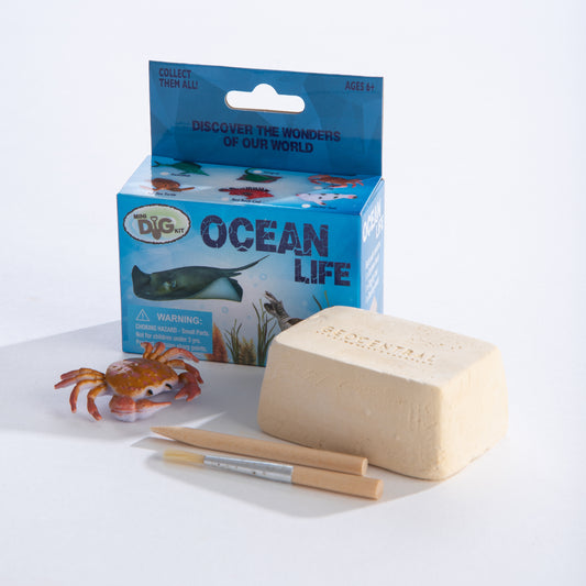 Ocean Life Mini Dig