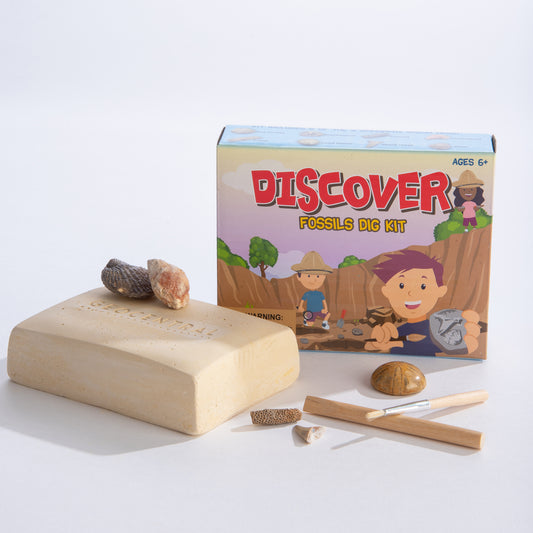 Discover Fossils
