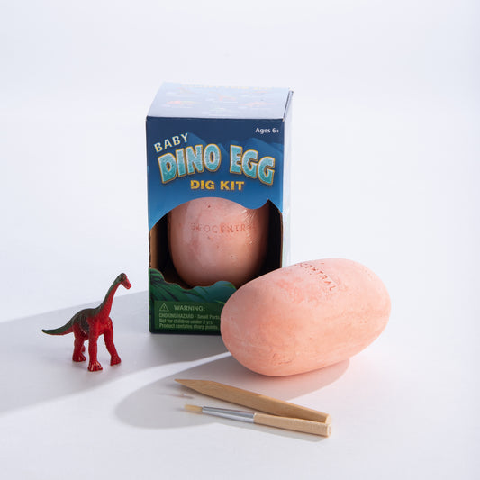 Dinosaur Egg With Figurine Kit