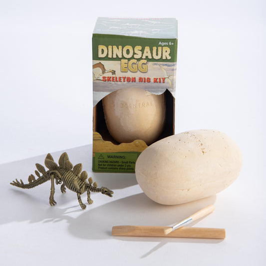 Dinosaur Egg With Skeleton Kit