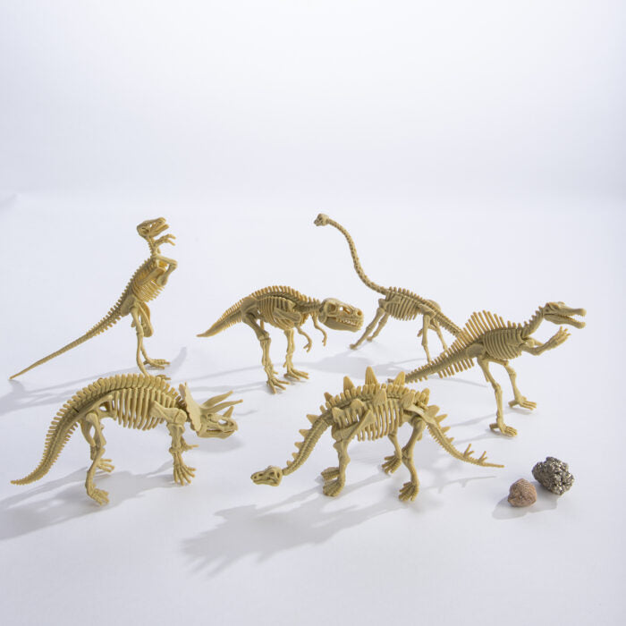 Dinosaur Skeleton Dig Kit