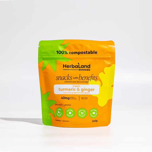 Snacks With Benefits Ginger And Turmeric Family Size 240G