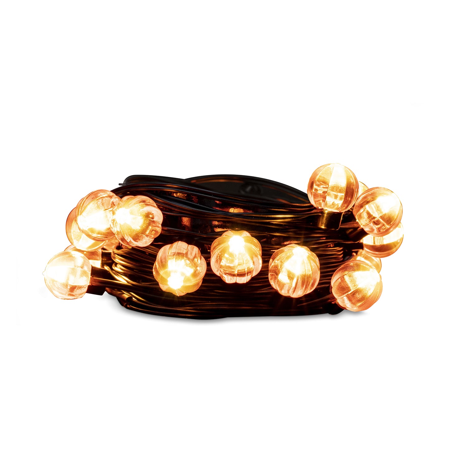 On-The-Vine Pumpkin Bulbs