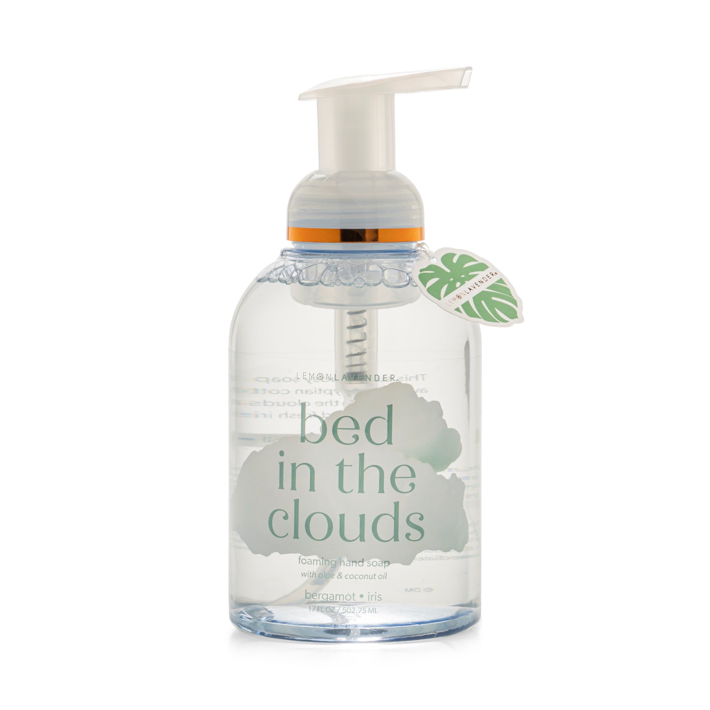 Foaming Hand Soap Clean Spirited Collection
