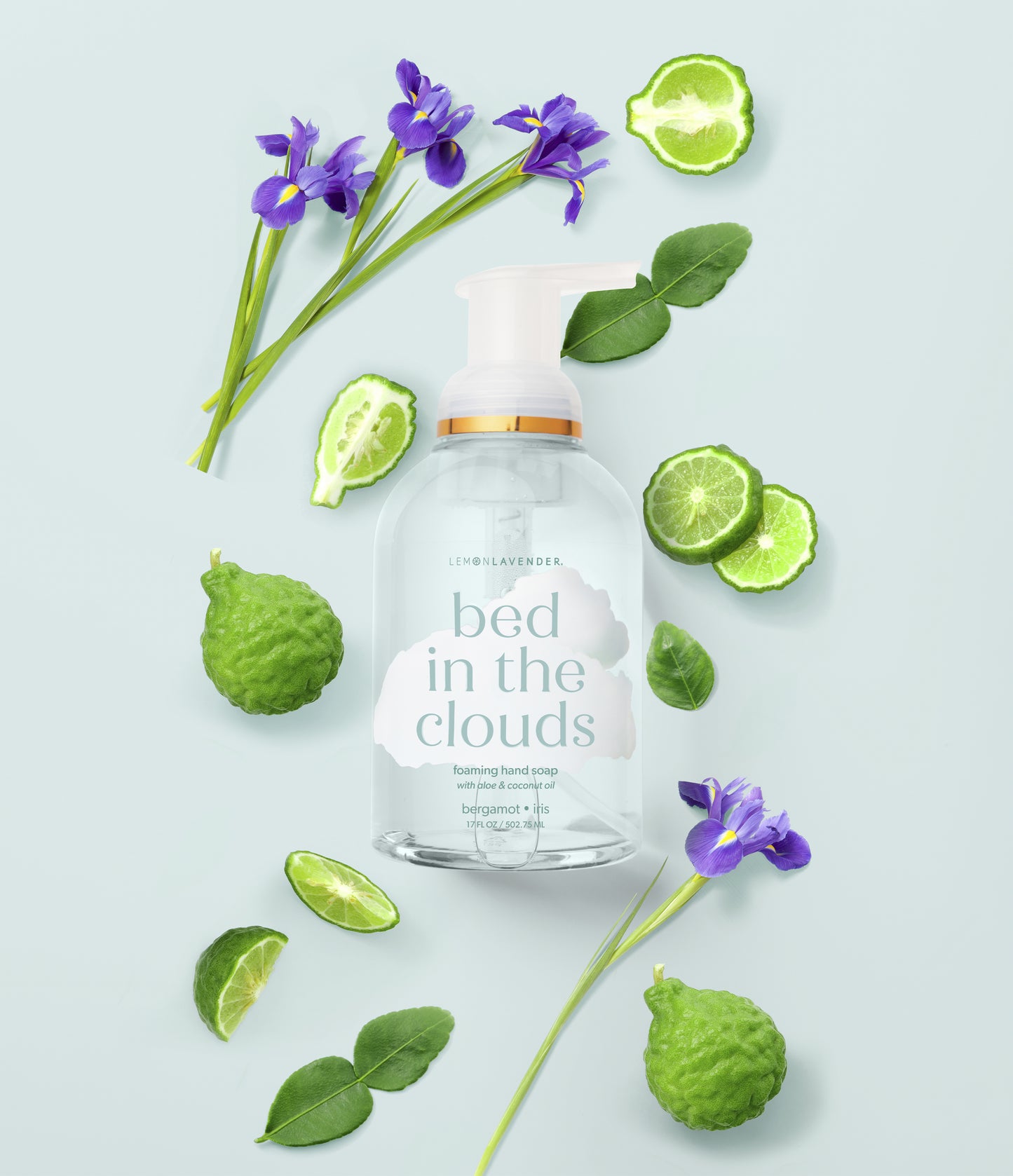 Foaming Hand Soap Clean Spirited Collection