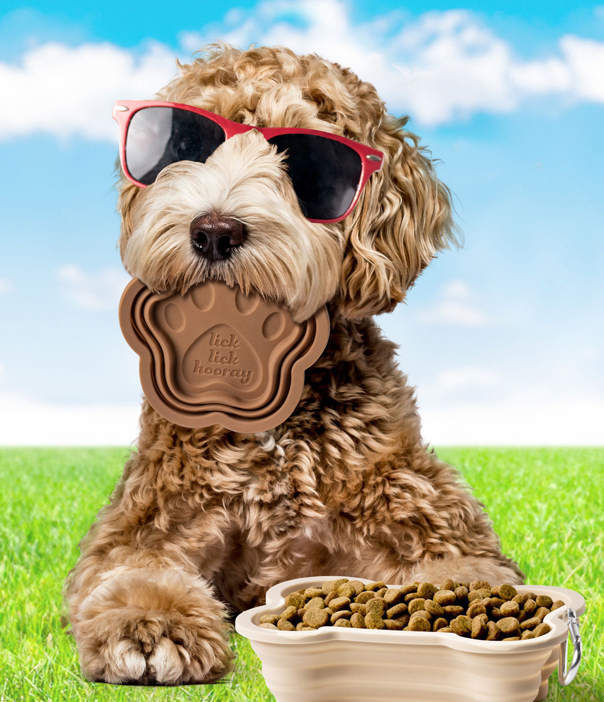 SWAG Collapsible Doggie Dish