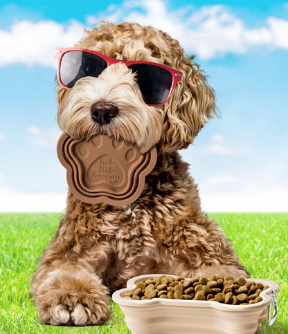 SWAG Collapsible Doggie Dish