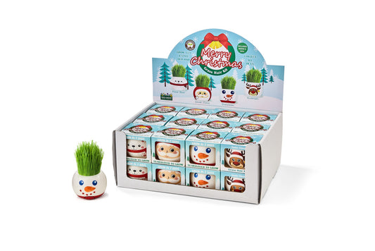Xmas Grass Hair Kit