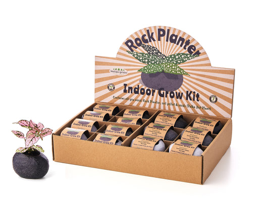 Rock Planter Grow Kit