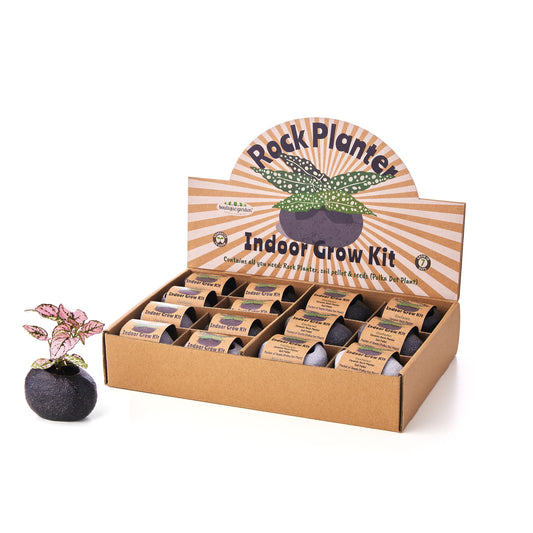 Rock Planter Grow Kit