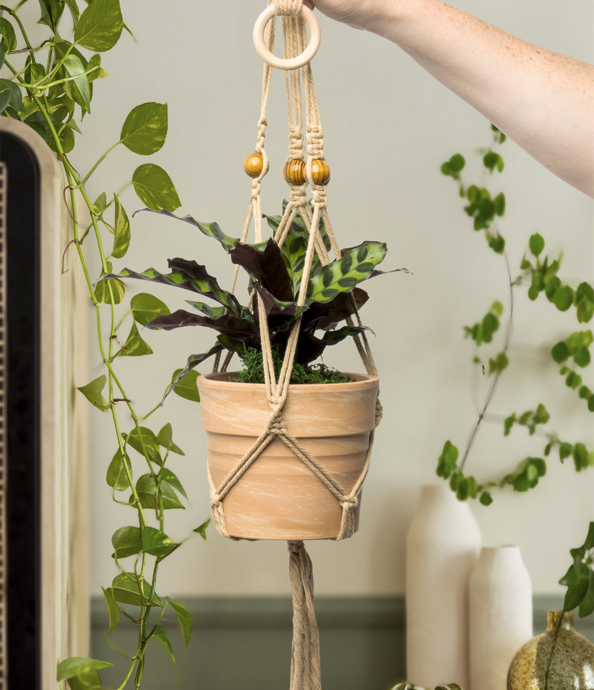 Let's Hang Macrame Plant Hanger
