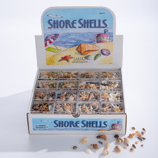 Mini Souvenir Stones